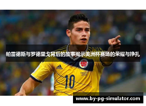 帕雷德斯与罗德里戈背后的故事揭示美洲杯赛场的荣耀与挣扎