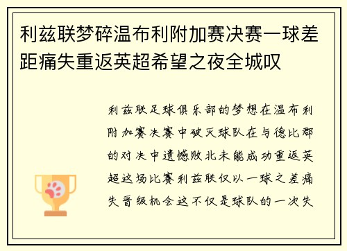 利兹联梦碎温布利附加赛决赛一球差距痛失重返英超希望之夜全城叹